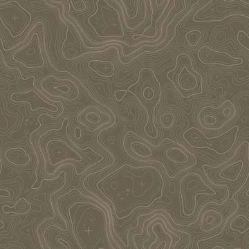 Seamless pattern. Topographic map background with space for copy Seamless Illustrazione stock