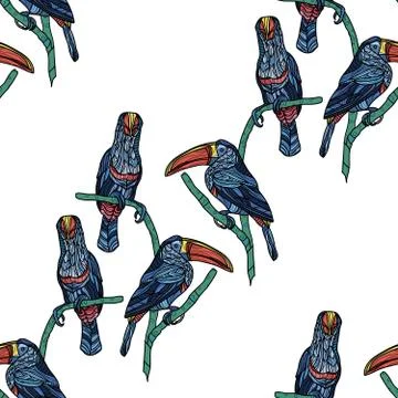 Seamless pattern with toucans on white background. Stock Illustration