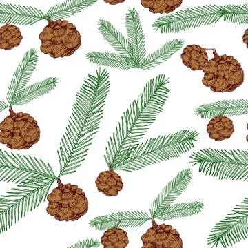 Seamless pattern tree twigs and cones painted line and colored on white. Tree Stock Illustration