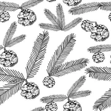 Seamless pattern tree twigs and cones painted line on a white. Tree, fir, pine Stock Illustration