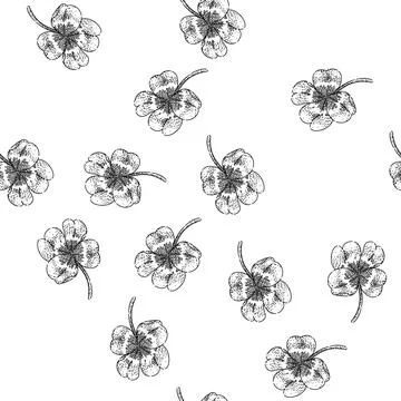 Seamless pattern trifolium clover sketch hand drawn Stock Illustration