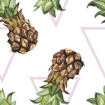 Seamless pattern with tropical Ananas. Element for design of invitations, movie Stock-Illustration