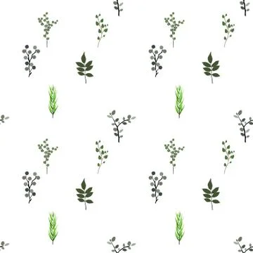 Seamless pattern. Tropical elements: Agonis, Eucalyptus, Annona, Balata, Zami イラスト素材