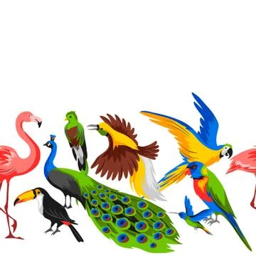 Seamless pattern with tropical exotic birds. 库存插图