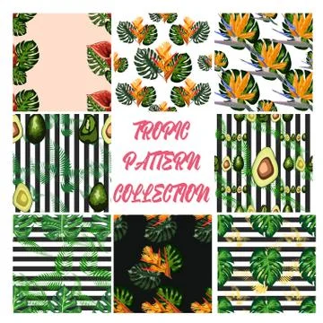 Seamless pattern of tropical flowers green leaves of palm trees and flowers b Illustration