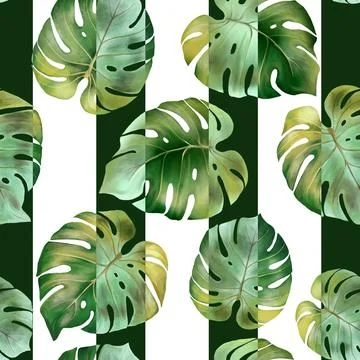 Seamless pattern with tropical green leaves. Botanical background with monstera. Illustrazione stock