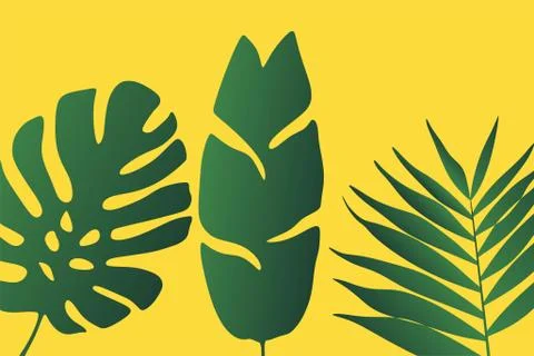 Seamless pattern with tropical leaf palm . Vector illustration. Stock Illustration