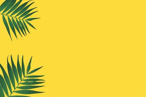 Seamless pattern with tropical leaf palm . Vector illustration. Illustrazione stock