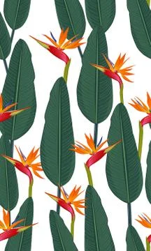 Seamless pattern tropical leaves with bird of paradise on white background Stockillustratie