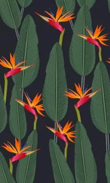 Seamless pattern tropical leaves with bird of paradise on black background Stock Illustration