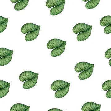 Seamless pattern with tropical leaves Stock Illustration