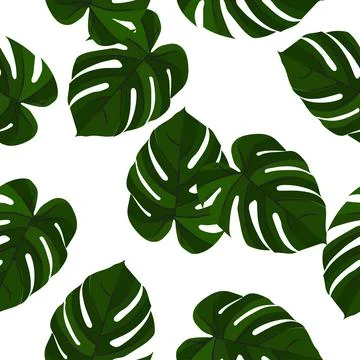 Seamless pattern with tropical leaves of monstera Stock Illustration
