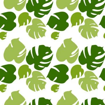 Seamless pattern with tropical leaves of monstera on white background. Vector Illustrazione stock
