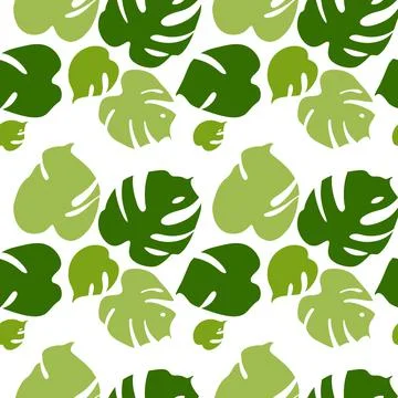 Seamless pattern with tropical leaves of monstera on white background. Vector Stock Illustration