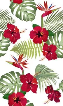 Seamless pattern tropical leaves with red hibiscus flower and bird of paradis Illustration