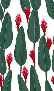 Seamless pattern tropical leaves with red ginger on white background 스톡 일러스트