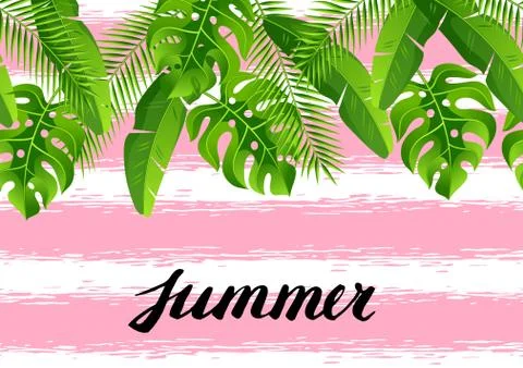 Seamless pattern with tropical palm leaves. Exotic tropical plants. Illustration 스톡 일러스트