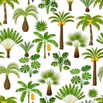 Seamless pattern with tropical palm trees. Exotic tropical plants Illustration イラスト素材
