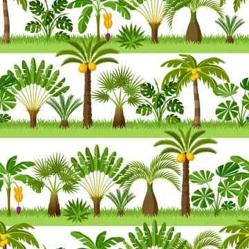 Seamless pattern with tropical palm trees. Exotic tropical plants Illustration Stock Illustration
