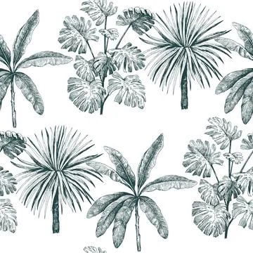 Seamless pattern with tropical plants, palms and monstera. Vector print wit.. Illustrazione stock