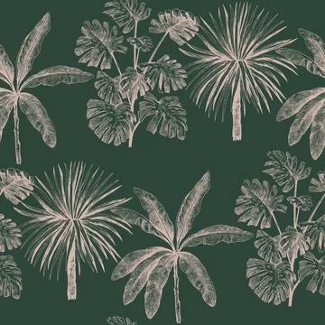 Seamless pattern with tropical plants, palms and monstera. Vector print wit.. Illustrazione stock