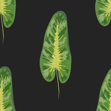 Seamless pattern of tropical plants. Repeat tropical backdrop with dieffenbac Stockillustratie