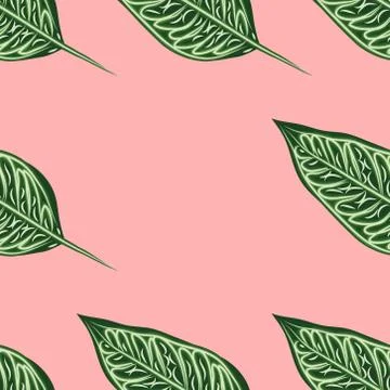 Seamless pattern of tropical plants. Repeat tropical backdrop with dieffenbac Illustrazione stock