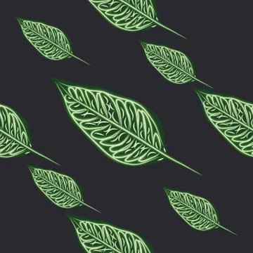 Seamless pattern of tropical plants. Repeat tropical backdrop with dieffenbac Stock Illustration