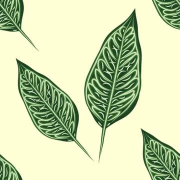 Seamless pattern of tropical plants. Repeat tropical backdrop with dieffenbac Stock Illustration