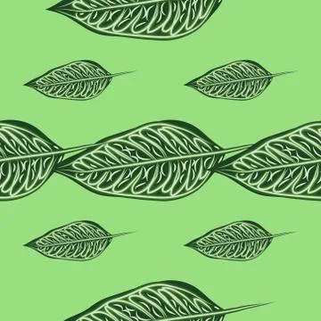 Seamless pattern of tropical plants. Repeat tropical backdrop with dieffenbac Stock Illustration