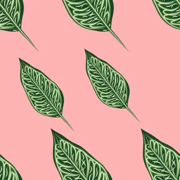 Seamless pattern of tropical plants. Repeat tropical backdrop with dieffenbac Stock Illustration