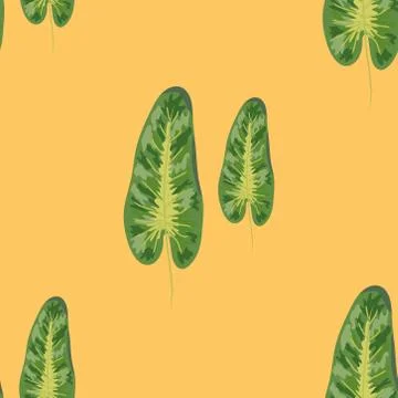 Seamless pattern of tropical plants. Repeat tropical backdrop with dieffenbac Stock Illustration