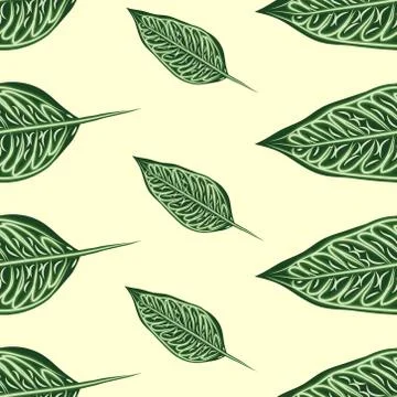 Seamless pattern of tropical plants. Repeat tropical backdrop with dieffenbac Illustrazione stock