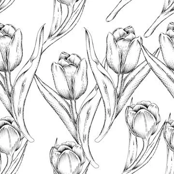 Seamless pattern with Tulip flowers, hand drawn sketch vector illustration. Stock Illustration