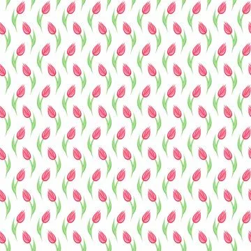 Seamless pattern with tulip flowers. Stock Illustration