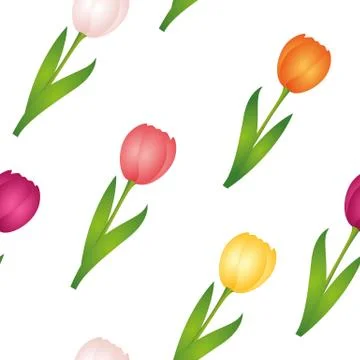 Seamless pattern tulips spring design background Stock Illustration