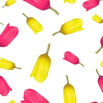 Seamless pattern of tulips, top view. Isolated on a white background. Stock-Fotos