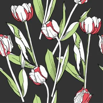 Seamless pattern with tulips.Spring Stock Illustration