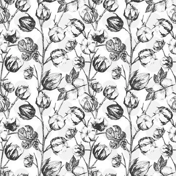 Seamless pattern with twigs, flowers and leaves of a cotton plant. Hand-drawn Stock Illustration