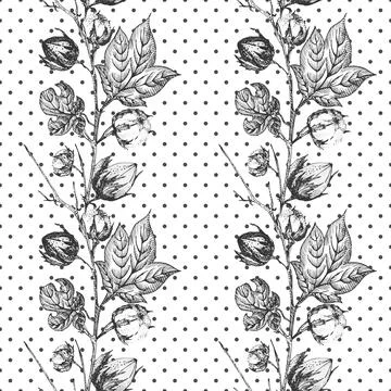 Seamless pattern with twigs, flowers and leaves of a cotton plant. Hand-drawn Stock Illustration