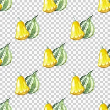 Seamless pattern of two yellow and green gourds watercolor illustration elements Ilustração Stock