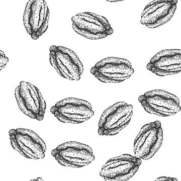 Seamless pattern ty pecan nut sketch hand drawn Stock Illustration
