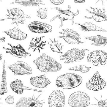 Seamless pattern Unique museum collection of sea shells rare endangered speci Stock Illustration