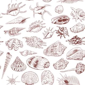 Seamless pattern Unique museum collection of sea shells rare endangered speci Stock Illustration