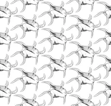 Seamless pattern Unique sea shells Harpago is a genus of sea snails, marine g Illustrazione stock