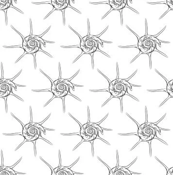 Seamless pattern Unique star sea shells Harpago is a genus of sea snails, mar 库存插图