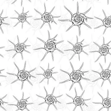 Seamless pattern Unique star sea shells Harpago is a genus of sea snails, mar Stock Illustration