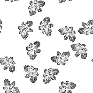 Seamless pattern vanda orchid sketch hand drawn Stock Illustration