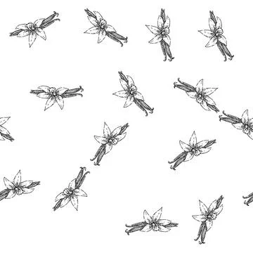 Seamless pattern vanilla aromatic sketch hand drawn Illustrazione stock