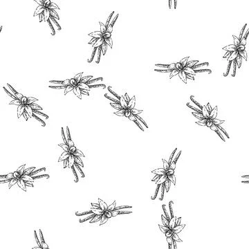 Seamless pattern vanilla flavor sketch hand drawn Stock Illustration